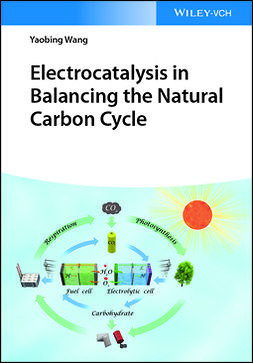 Wang, Yaobing - Electrocatalysis in Balancing the Natural Carbon Cycle, ebook