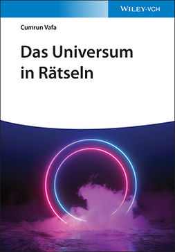 Vafa, Cumrun - Das Universum in Rätseln, e-bok