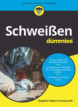 Farnsworth, Steven Robert - Schweißen für Dummies, ebook