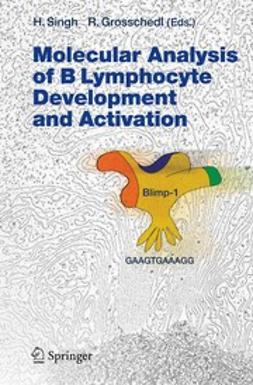 Grosschedl, Rudolf - Molecular Analysis of B Lymphocyte Development and Activation, e-kirja