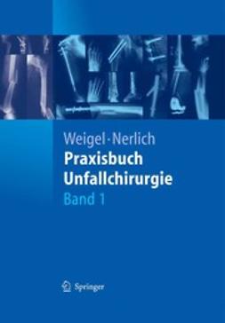 Weigel, Bernhard - Praxisbuch Unfallchirurgie, e-bok