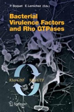 Boquet, Patrice - Bacterial Virulence Factors and Rho GTPases, ebook