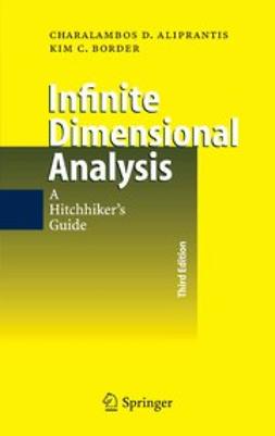 Aliprantis, Charalambos D. - Infinite Dimensional Analysis, e-bok