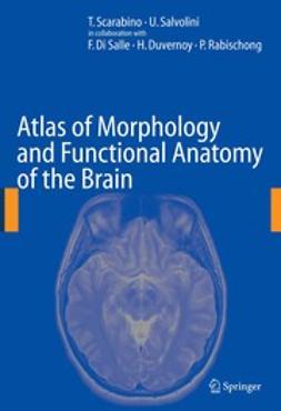 Salvolini, U. - Atlas of Morphology and Functional Anatomy of the Brain, ebook