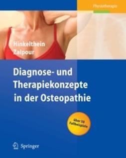 Hinkelthein, Edgar - Diagnose- und Therapiekonzepte in der Osteopathie, e-bok