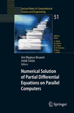 Bruaset, Are Magnus - Numerical Solution of Partial Differential Equations on Parallel Computers, e-kirja