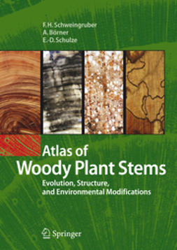 Schweingruber, Fritz - Atlas of Woody Plant Stems, ebook