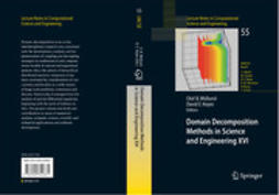 Keyes, David E. - Domain Decomposition Methods in Science and Engineering XVI, ebook