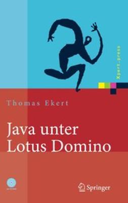 Ekert, Thomas - Java unter Lotus Domino, ebook