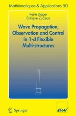 Dáger, René - Wave Progagation, Observation and Control in 1-d Flexible Multi-Structures, ebook