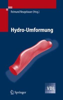 Neugebauer, Reimund - Hydro-Umformung, e-bok