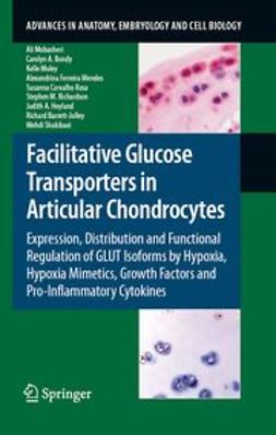 Barrett-Jolley, Richard - Facilitative Glucose Transporters in Articular Chondrocytes, ebook