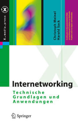 Meinel, Christoph - Internetworking, ebook