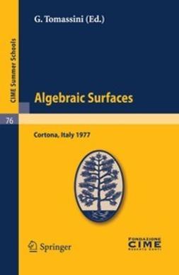 Tomassini, G. - Algebraic Surfaces, ebook