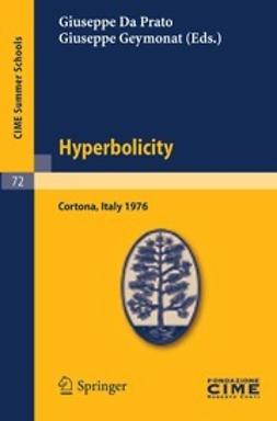 Prato, Giuseppe - Hyperbolicity, e-kirja