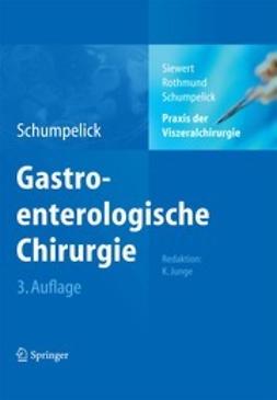 Siewert, Jörg Rüdiger - Praxis der Viszeralchirurgie. Gastroenterologische Chirurgie, e-bok