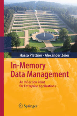 Plattner, Hasso - In-Memory Data Management, ebook