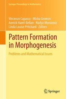 Capasso, Vincenzo - Pattern Formation in Morphogenesis, e-bok