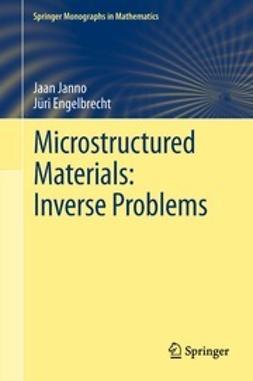 Janno, Jaan - Microstructured Materials: Inverse Problems, ebook