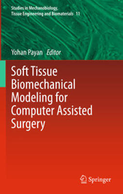 Payan, Yohan - Soft Tissue Biomechanical Modeling for Computer Assisted Surgery, e-kirja