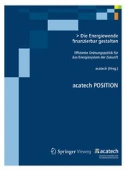  - Die Energiewende finanzierbar gestalten, e-kirja