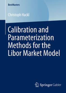 Hackl, Christoph - Calibration and Parameterization Methods for the Libor Market Model, ebook