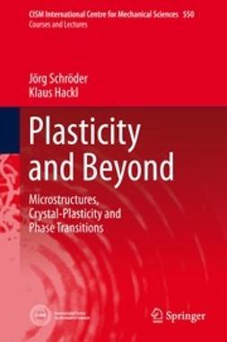 Schröder, Jörg - Plasticity and Beyond, e-bok