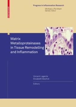 Boichot, Elisabeth - Matrix Metalloproteinases in Tissue Remodelling and Inflammation, e-bok