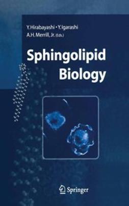 Hirabayashi, Yoshio - Sphingolipid Biology, ebook