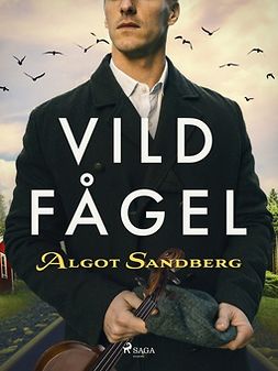 Sandberg, Algot - Vildfågel, ebook