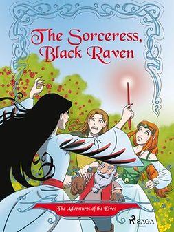 Gotthardt, Peter - The Adventures of the Elves 2: The Sorceress, Black Raven, e-kirja