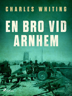 Whiting, Charles - En bro vid Arnhem, ebook