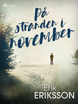 Eriksson, Erik - På stranden i november, ebook
