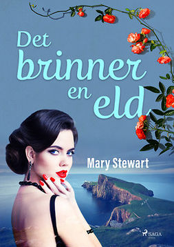 Stewart, Mary - Det brinner en eld, ebook