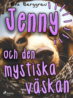 Berggren, Eva - Jenny och den mystiska väskan, e-kirja
