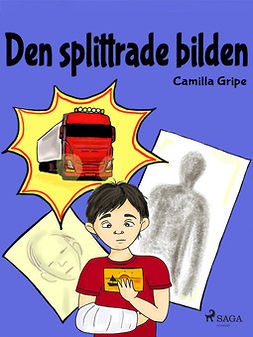 Gripe, Camilla - Den splittrade bilden, e-bok