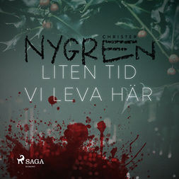 Nygren, Christer - Liten tid vi leva här, audiobook