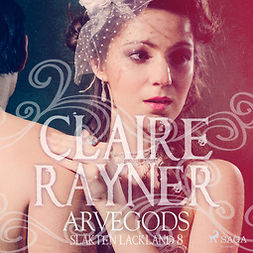 Rayner, Claire - Arvegods, äänikirja
