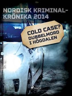Diverse - Cold case? Dubbelmord i Högdalen, ebook