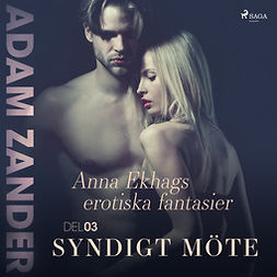 Zander, Adam - Syndigt möte - Anna Ekhags erotiska fantasier del 3, audiobook