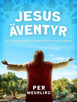 Meurling, Per - Jesus äventyr : Nya Testamentet berättat för ungdom, ebook