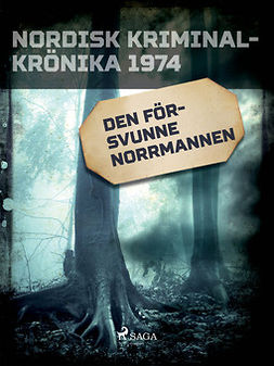  - Den försvunne norrmannen, ebook