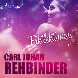 Rehbinder, Carl Johan - Fäktlektionen, audiobook