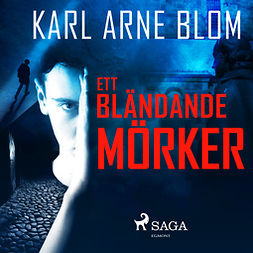 Blom, Karl Arne - Ett bländande mörker, audiobook