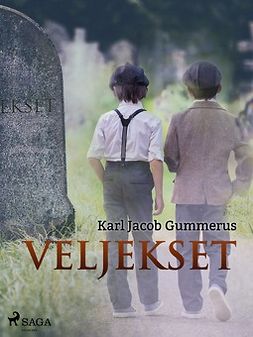 Gummerus, Karl Jacob - Veljekset, ebook