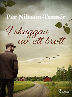 Nilsson-Tannér, Per - I skuggan av ett brott, ebook