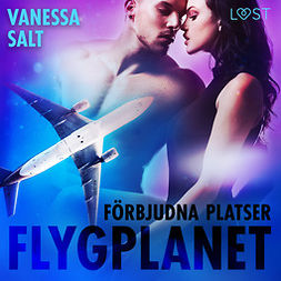 Salt, Vanessa - Förbjudna platser: Flygplanet, audiobook