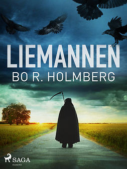 Holmberg, Bo R. - Liemannen, e-bok