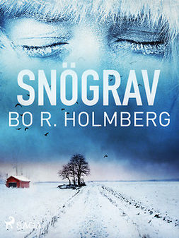 Holmberg, Bo R. - Snögrav, ebook