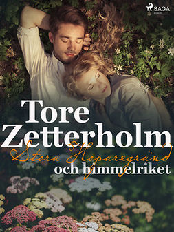 Zetterholm, Tore - Stora Hoparegränd och himmelriket, ebook
